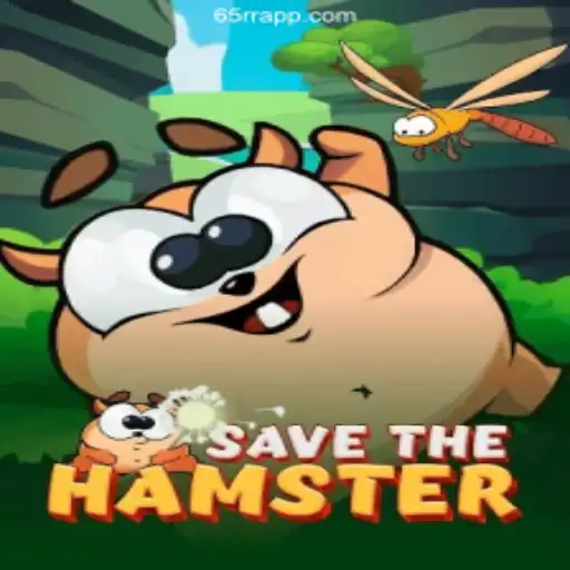 Exploring the Adventures of SavetheHamster: A Thrilling Journey in Gaming